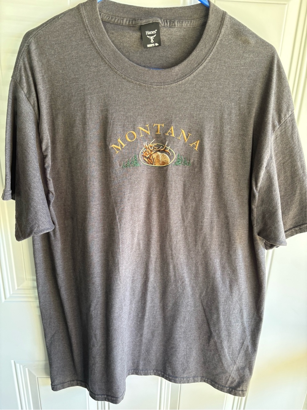 Hanes Gray Montana Short-Sleeve Graphic Tee